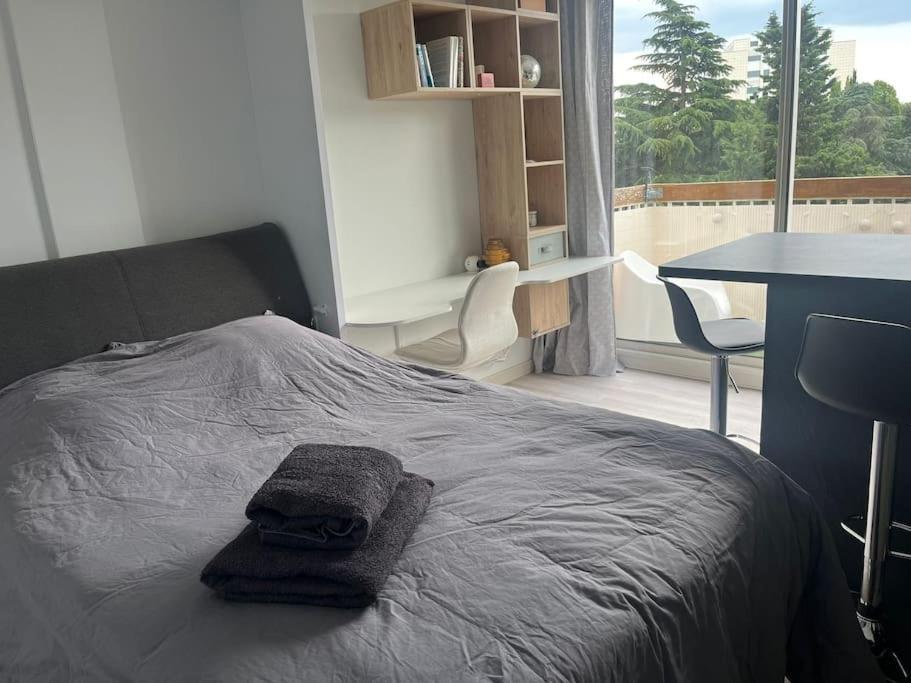 Le Studio - Parking & Balcon تولوز المظهر الخارجي الصورة